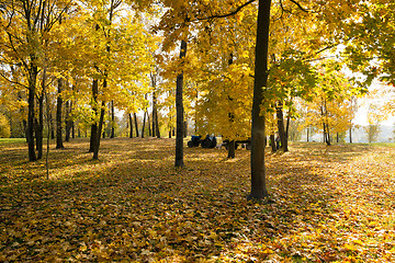 Image showing autumn forest, park 