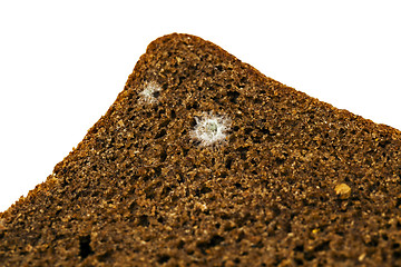 Image showing mold on bread  