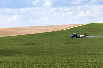 Image showing Processing of cereal  