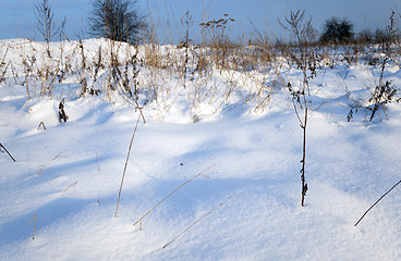 Image showing snow covered field  