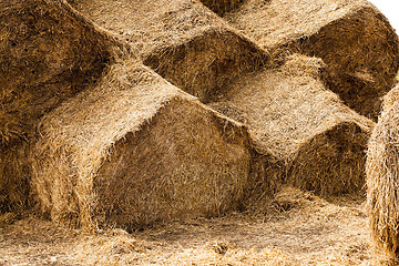 Image showing haystacks piled straw  