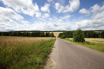 Image showing Summer road ,  field