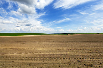Image showing empty agricultural field 