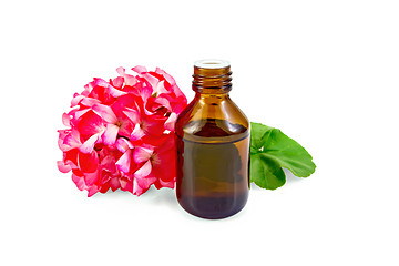 Image showing Oil with pink geraniums in dark bottle