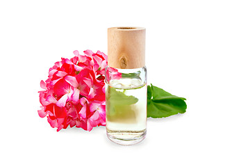 Image showing Oil with pink geraniums in glass bottle