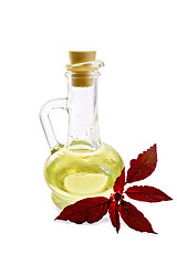 Image showing Oil with amaranth in decanter