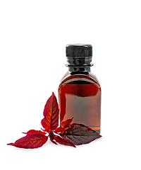 Image showing Oil with amaranth in dark bottle