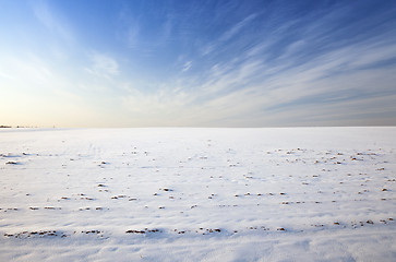 Image showing the field covered with snow  