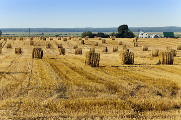 Image showing haystacks straw , summer