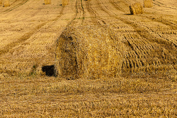 Image showing haystacks straw ,  summer