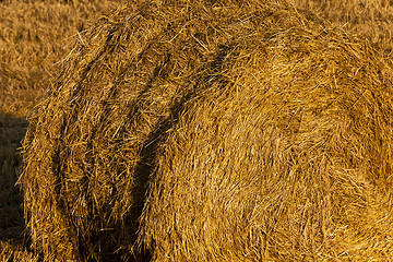 Image showing Stack of straw  