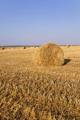 Image showing stack of straw in the field  