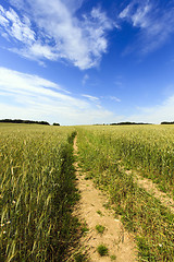 Image showing no paved road  