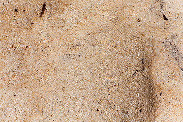 Image showing sawdust close up 