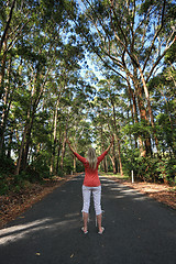 Image showing Standing among the tall gum trees on a remote country road