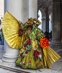 Image showing Sophisticate Disguise - Venice Carnival 2014