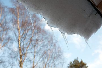 Image showing spring icicles