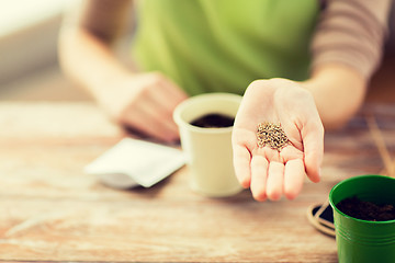 Image showing close up of woman hand holding seeds