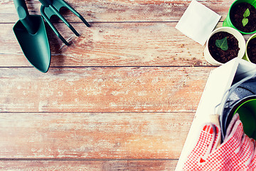 Image showing close up of seedlings, garden tools and seeds