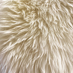 Image showing White fur background