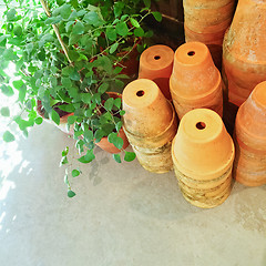 Image showing Stacked clay pots and green plants