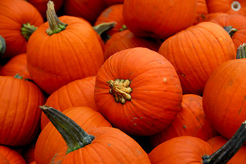 Image showing Pumpkins