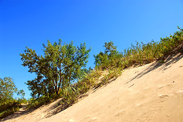 Image showing Sand dunes