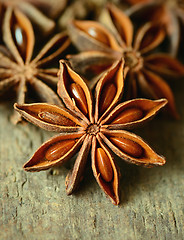 Image showing Star anise spice