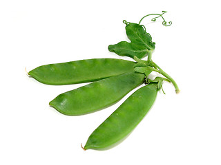 Image showing Snow pea on white