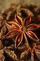 Image showing Star anise spice