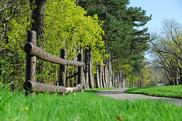 Image showing Spring in a park