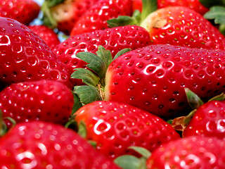 Image showing Strawberries macro