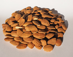 Image showing Almonds dried fruit heap