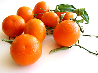 Image showing Tangerines with leaves on white 3