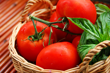 Image showing Tomatos and basil