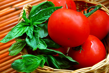 Image showing Tomatoes and basil