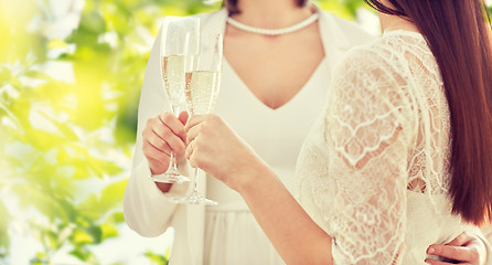 Image showing close up of lesbian couple with champagne glasses