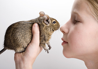 Image showing girl with degu