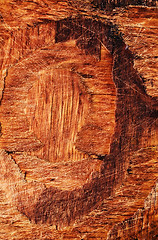 Image showing Old wooden texture