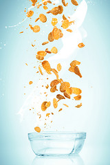 Image showing The cornflakes falling with milk stream