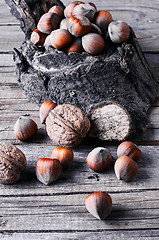 Image showing walnuts with hazelnuts