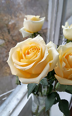 Image showing Bouquet of tea roses in a vase at a window