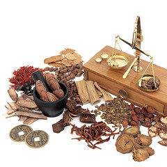 Image showing Traditional Chinese Medicine Selection