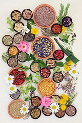 Image showing Healing Herbs and Flowers