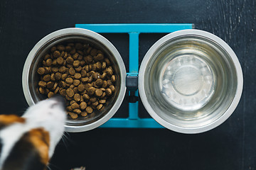 Image showing Two dog bowls