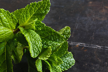 Image showing leafs of fresh mint 