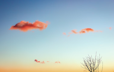 Image showing Three pink clouds in the evening sky