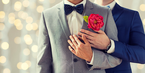 Image showing close up of happy male gay couple