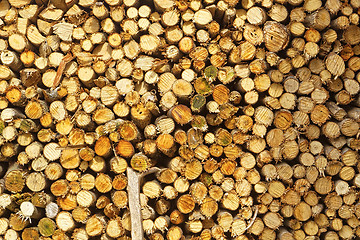 Image showing natural wooden logs 