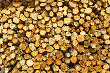 Image showing natural wooden logs 